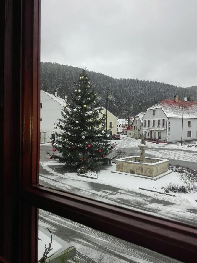 Hotel U Martina - Kocabka Rozmberk Nad Vltavou Luaran gambar